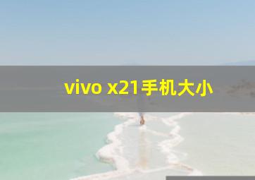 vivo x21手机大小